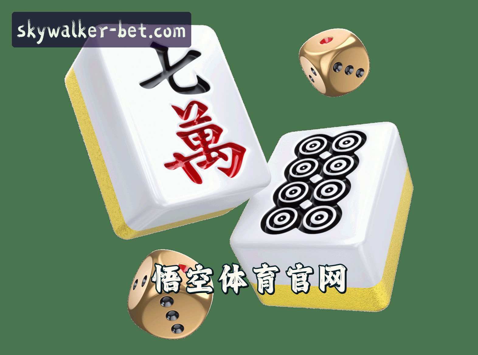 关于我们简介